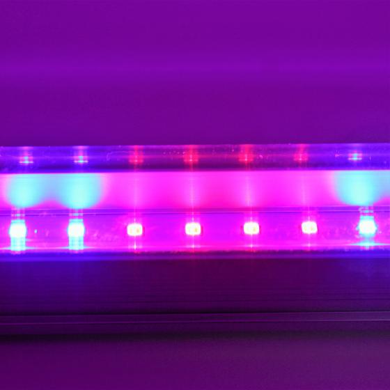 Светодиодный светильник T8-2835-0.6FS  R:B=4:2 8W ( 4 красных 2 синих ФИТО свет )